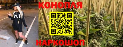 a pvp Можга
