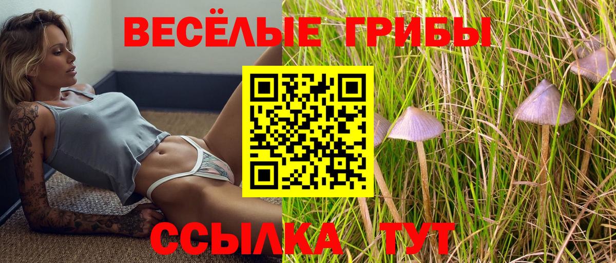 Псилоцибиновые грибы Cubensis Дивногорск